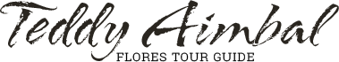 Teddy Aimbal - Flores Tour Guide